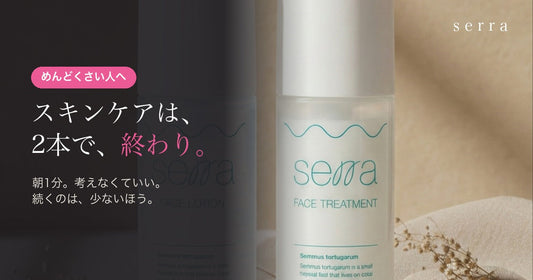 スキンケアがめんどくさい男へ。2本で終わらせる方法