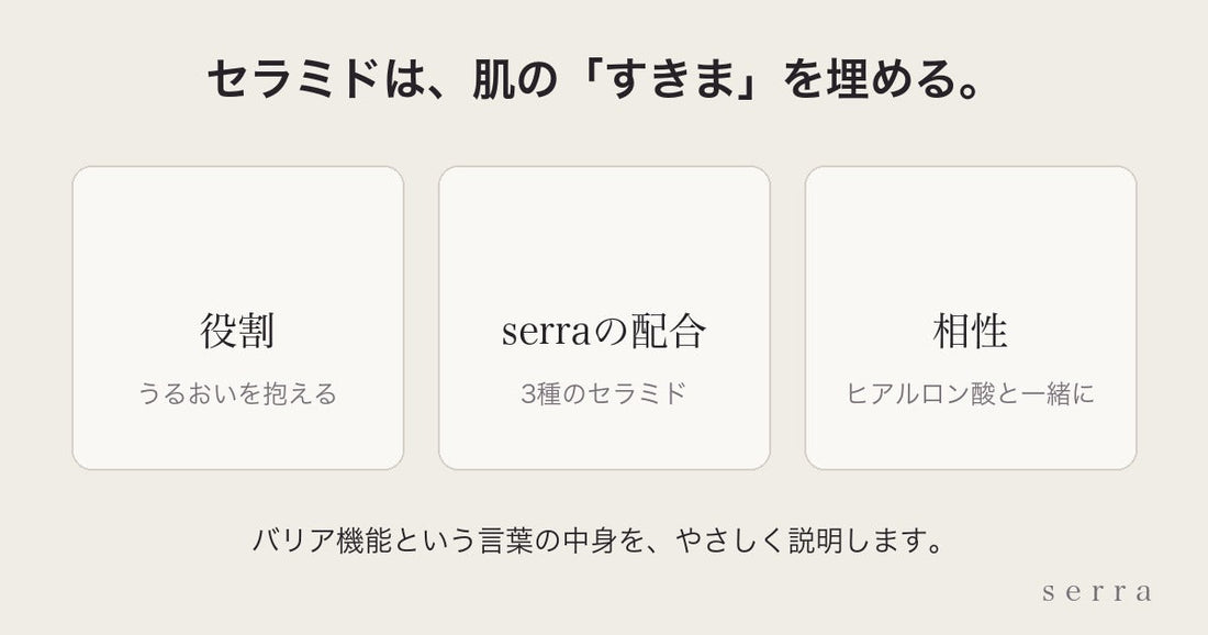 セラミドとは｜肌のバリア機能とserraに3種入っている理由